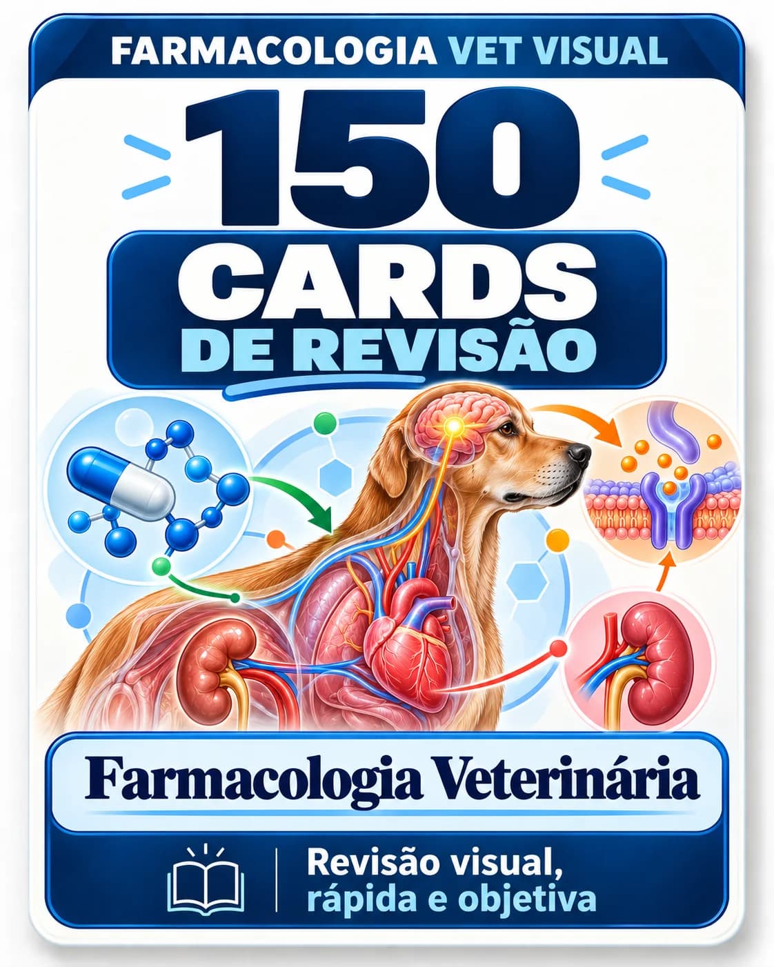Capa real: 150 Cards de Revisão