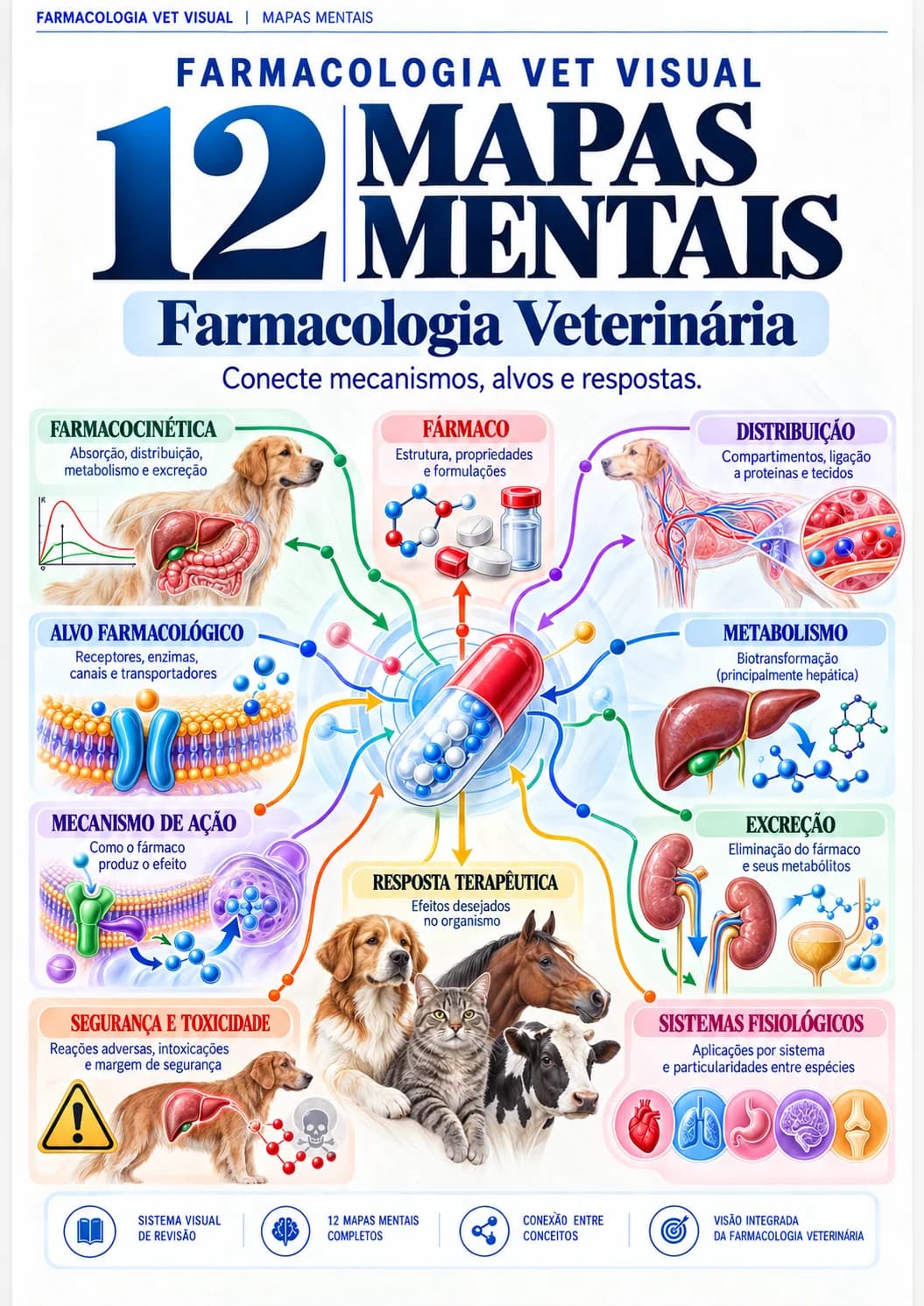 Capa real: 12 Mapas Mentais