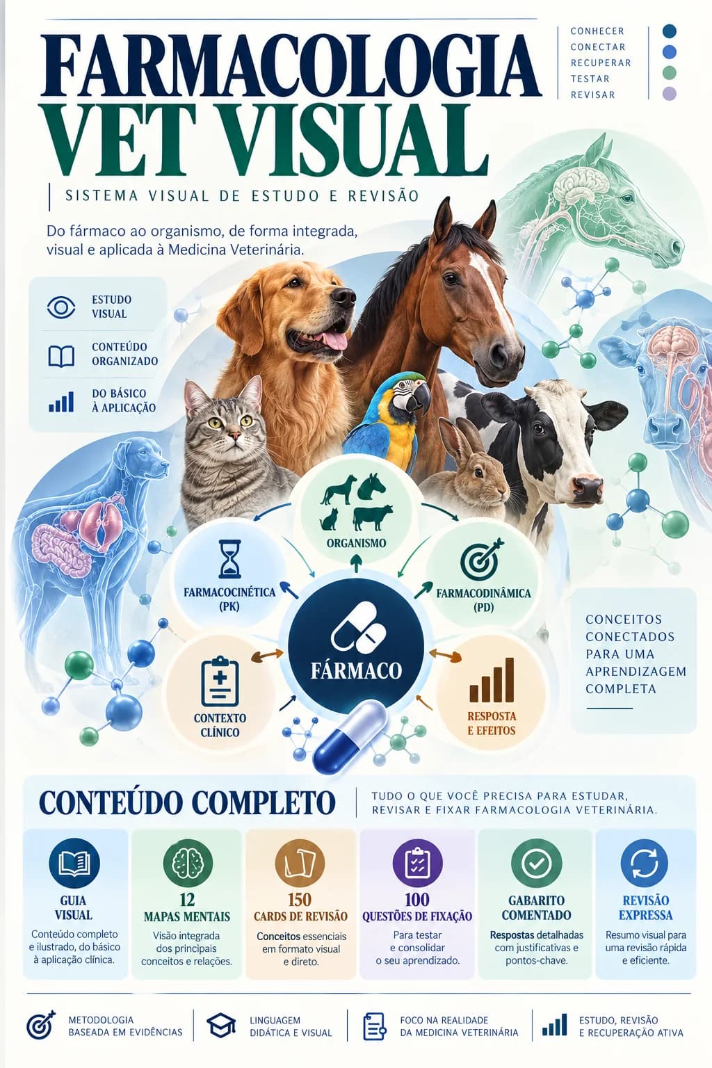 Capa real: Guia Visual Completo