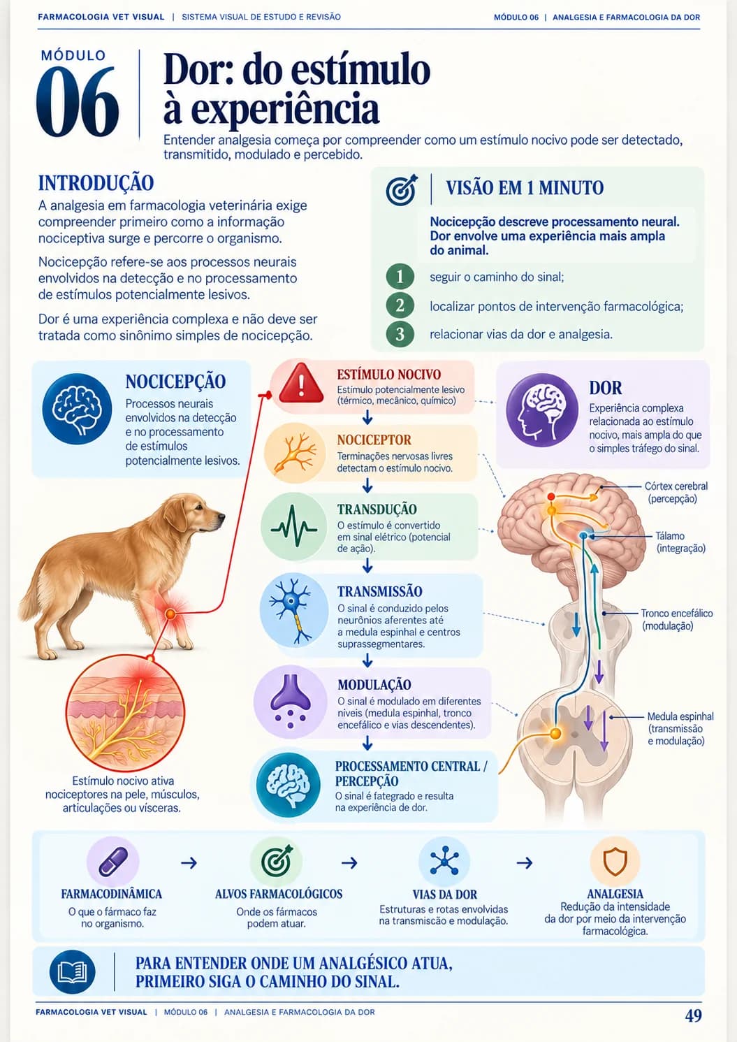 Página real: Dor e Analgesia
