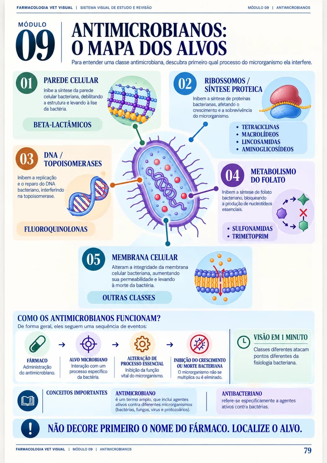 Página real: Antimicrobianos