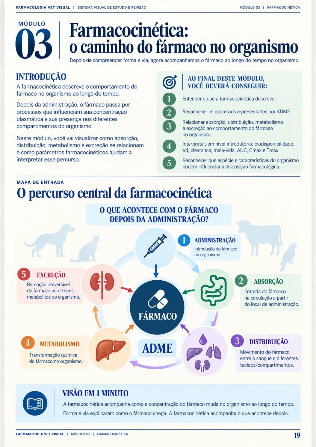 Página real: Farmacocinética