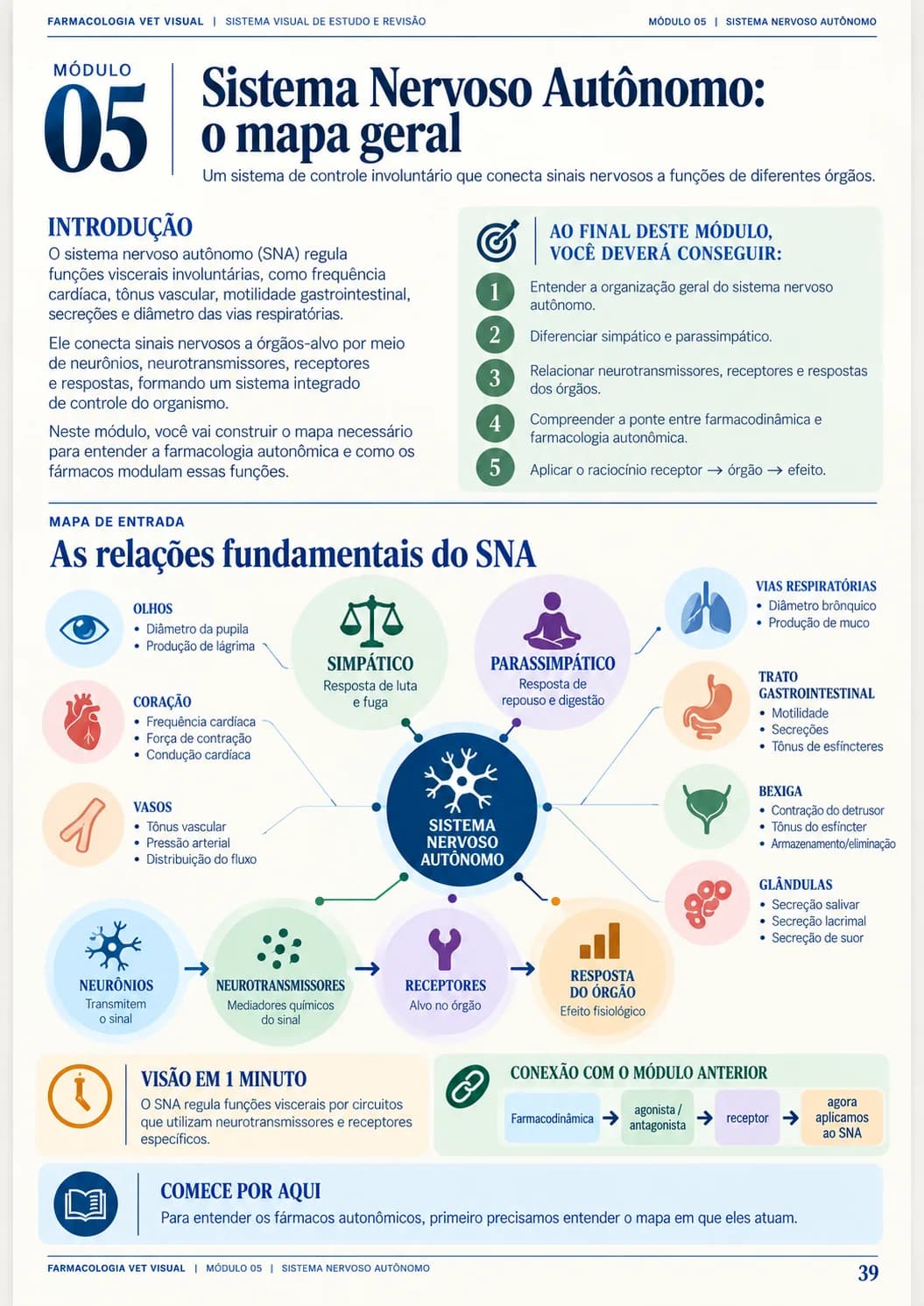 Página real: Sistema Nervoso Autônomo