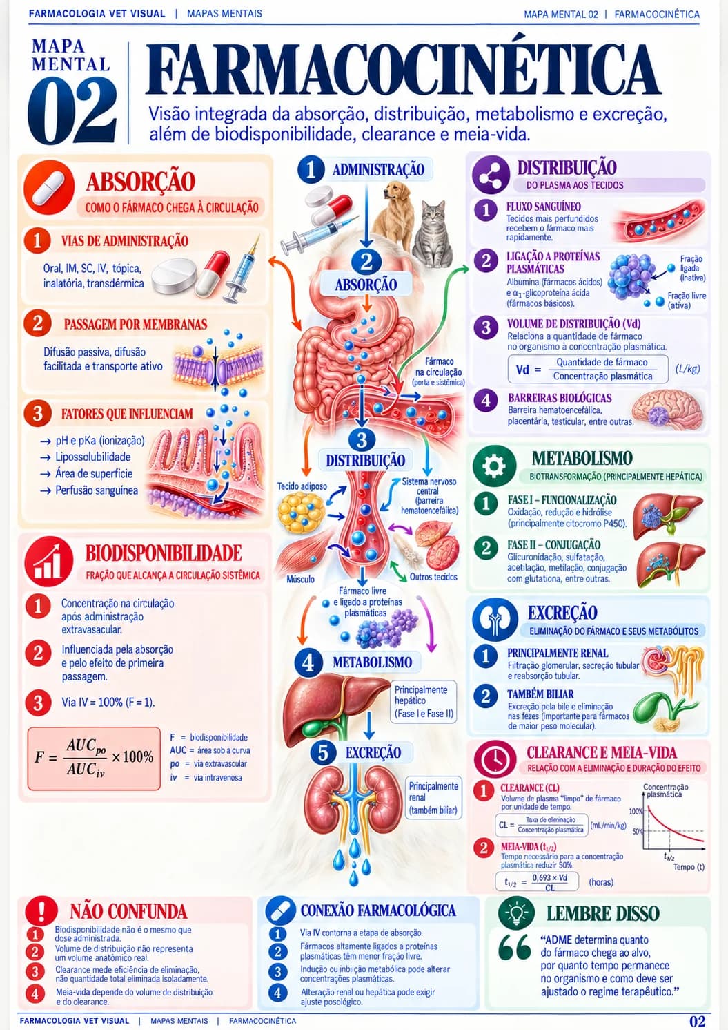 Página real: Mapa de Farmacocinética